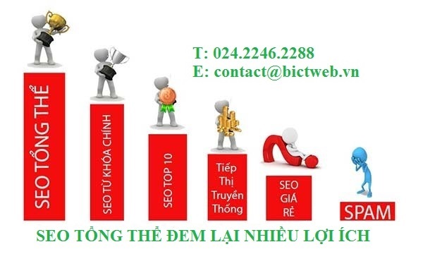 dich vu seo tong the tai ha noi