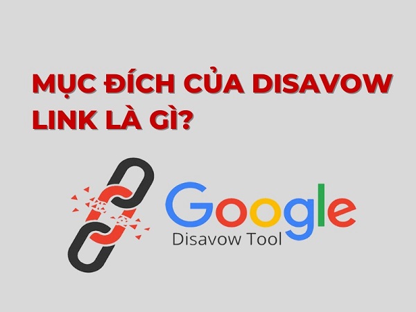 Disavow links là gì? Khi nào cần từ chối liên kết xấu?