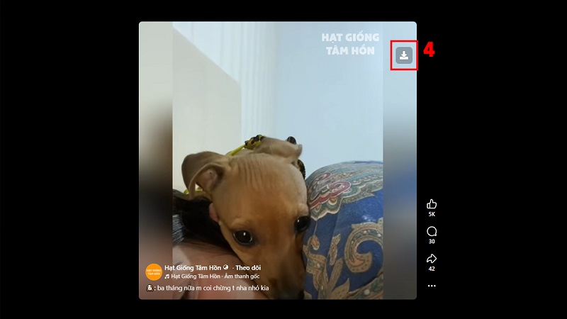 Tải video Facebook miễn phí 