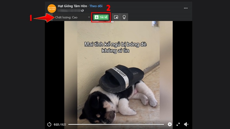 Tải video Facebook miễn phí 